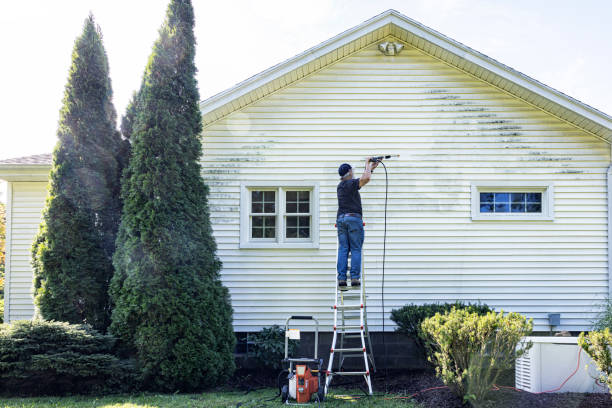 Best Roof Washing  in Converse, TX